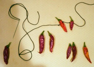 pepper-stringing (2)