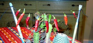 peppers,strung2 (2)